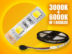 Taśma LED 5050 WW+CW 5m/300 diod
